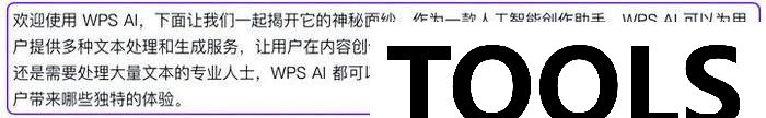 WPS AI